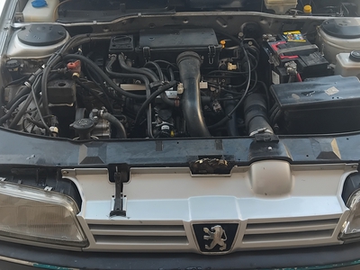 پژو 405 GLX دوگانه سوز