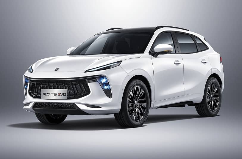 Dongfeng Fengxing 2022